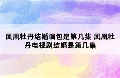 凤凰牡丹结婚调包是第几集 凤凰牡丹电视剧结婚是第几集